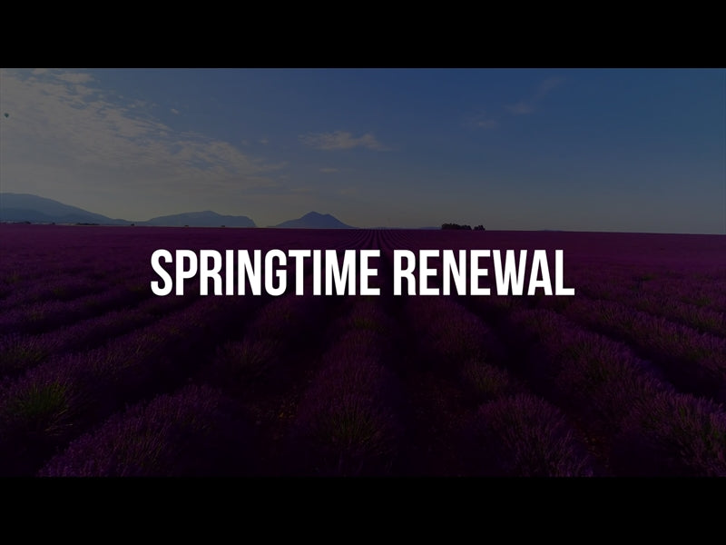 Springtime Renewal