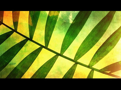 Palm Sunday 3