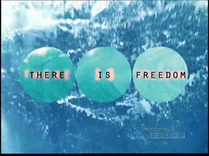 Freedom
