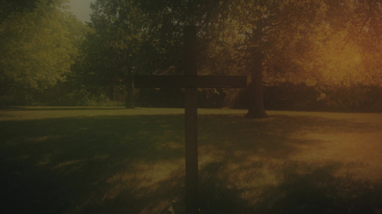 Nature Cross 6 Alt