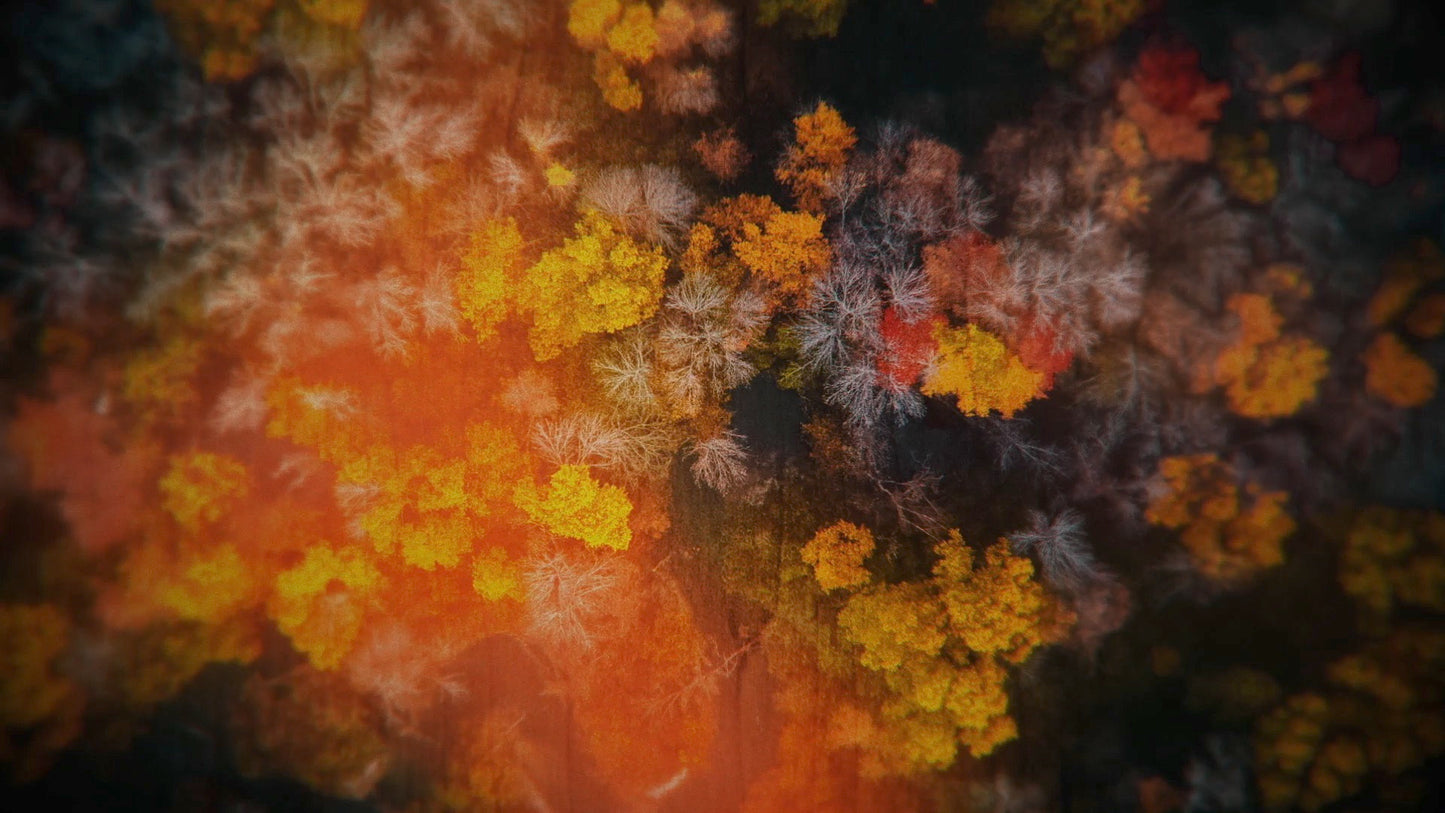 Aerial Journey 6 Still