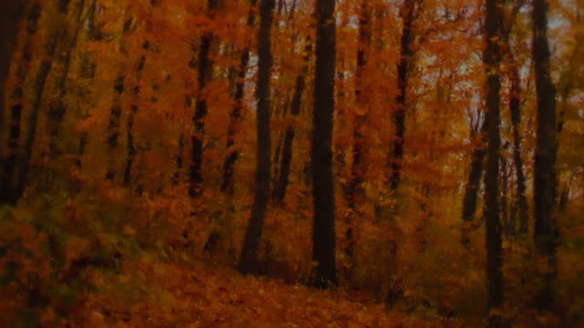 Autumn Vibes 4 Alt