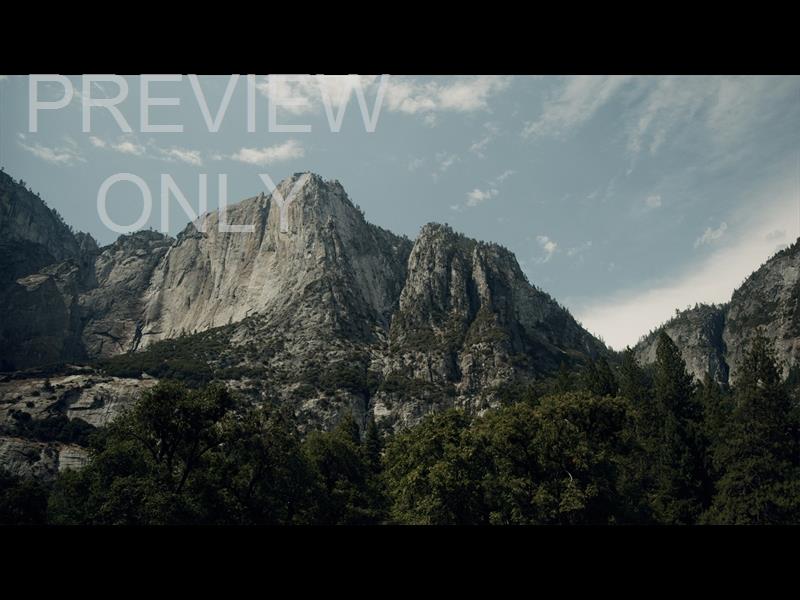 Yosemite Meadows Still - 15