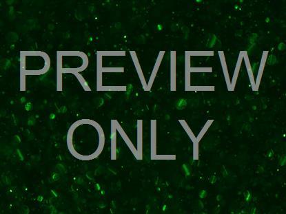 Christmas Glitter Green