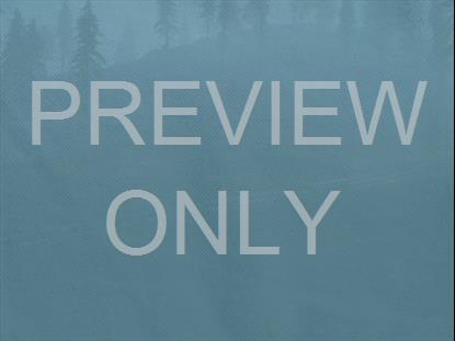 Wilderness Teaching Still 3