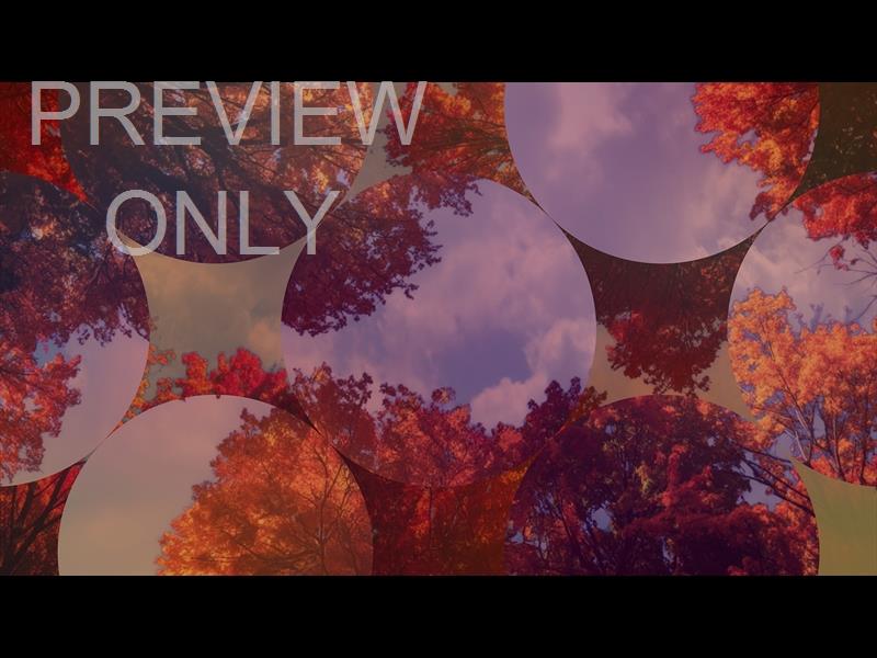 Fall Trees 10 Remix Still