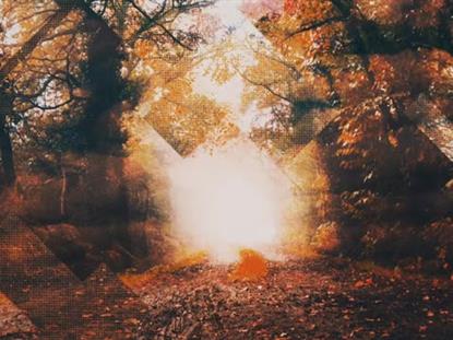 Rustic Autumn 1
