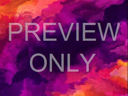 Paint Flow Pink Orange Circle