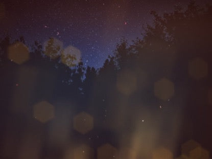 Nighttime Embers Near