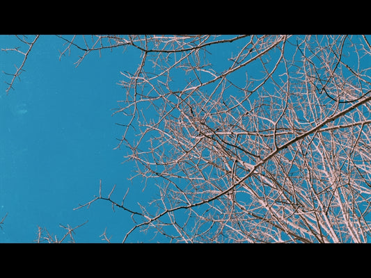 High Heavens Loop 01