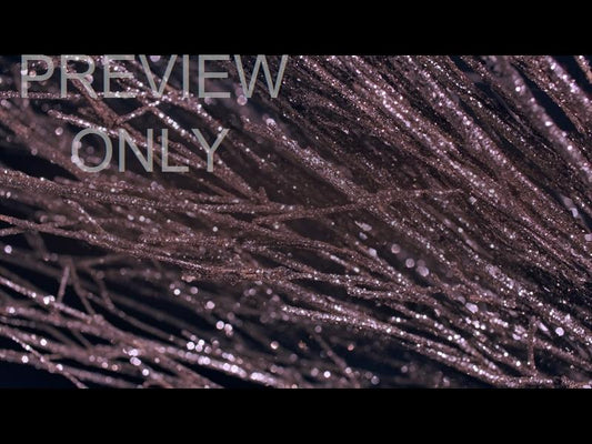 Christmas Gold 12 Still