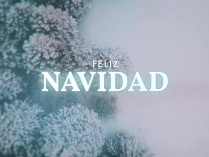 Aerial Snow Christmas - Spanish