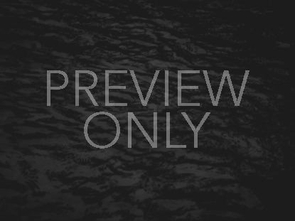 Black And White Kool Aid