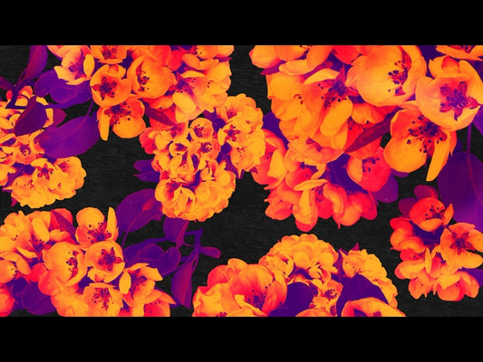 Bold Blooms Loop 06