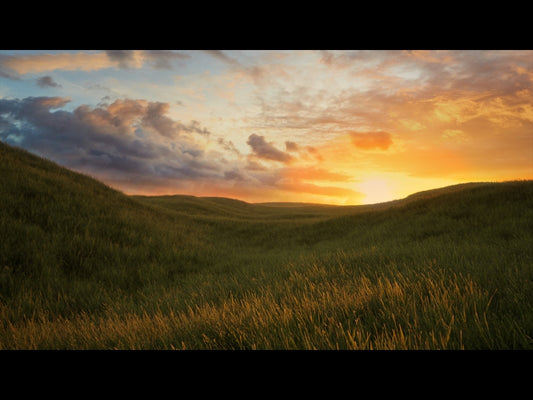 Prairie Sunset Flight