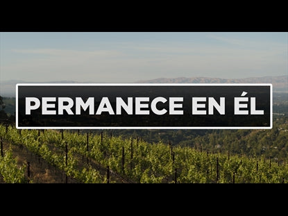 Permanece En El