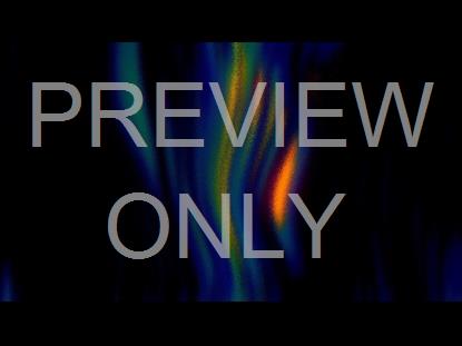 Vividry Four Graphic