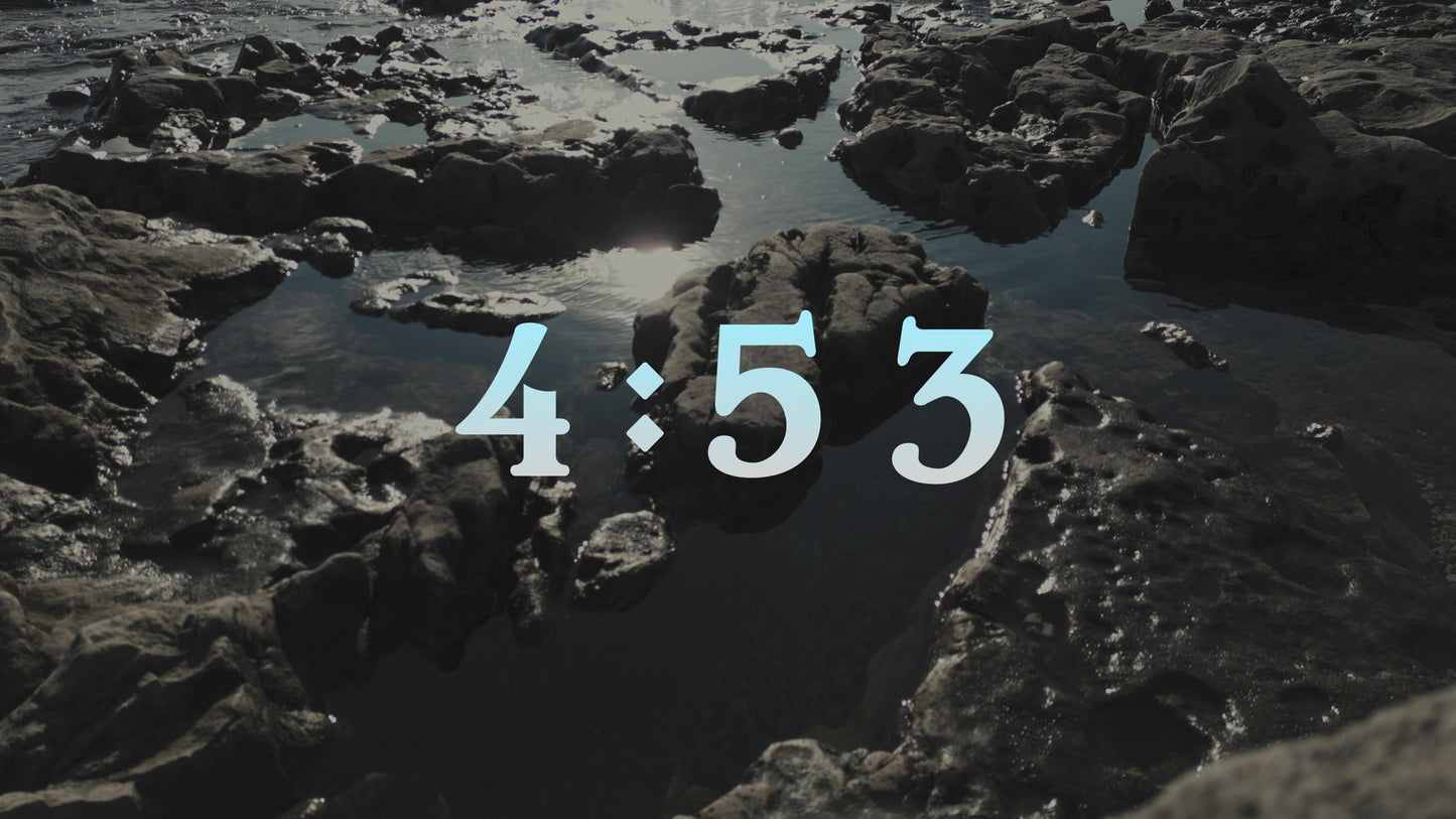Northern Shores Countdown
