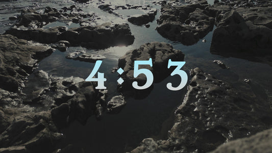 Northern Shores Countdown