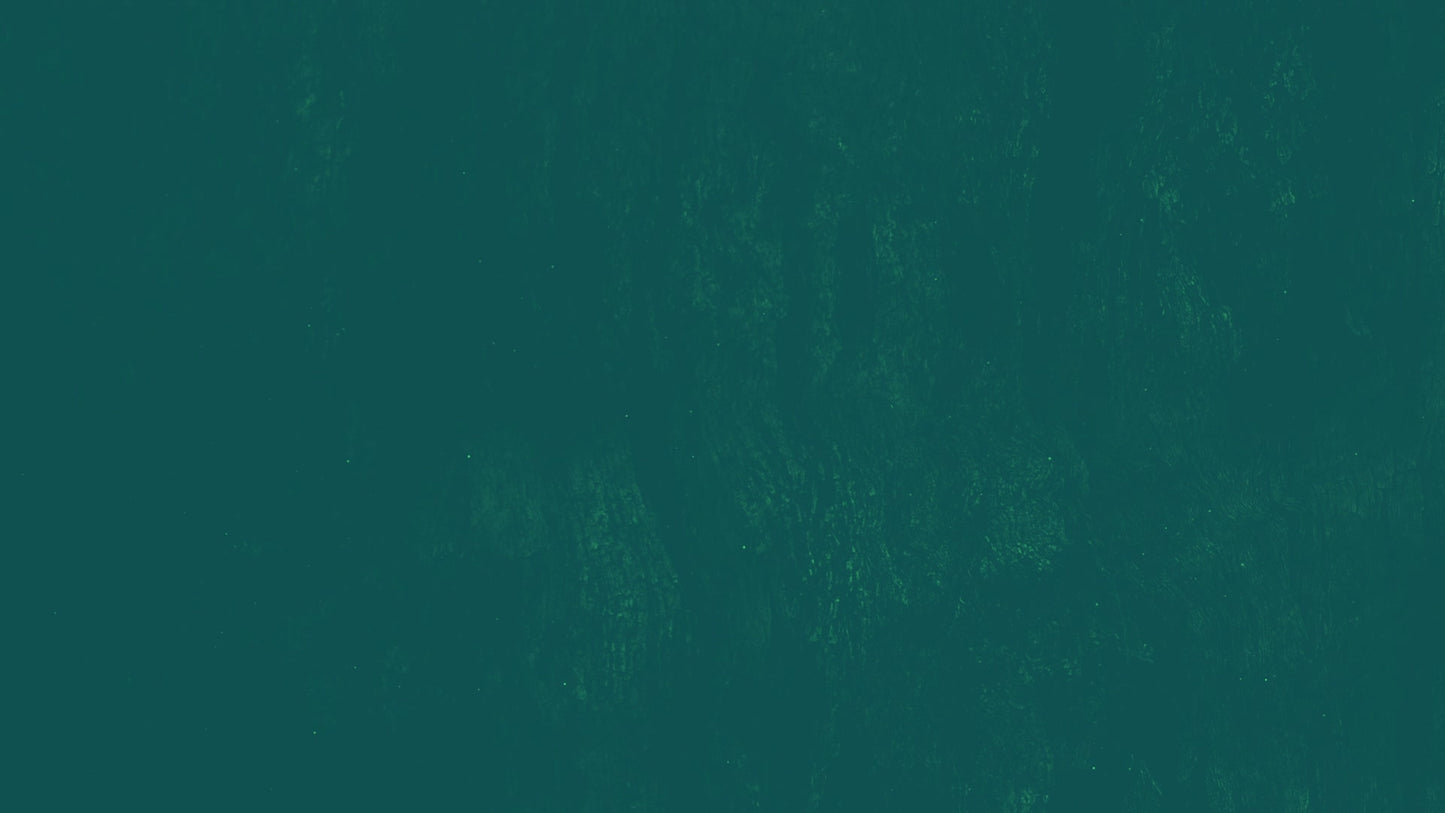 Dark Surface Six Alt Still