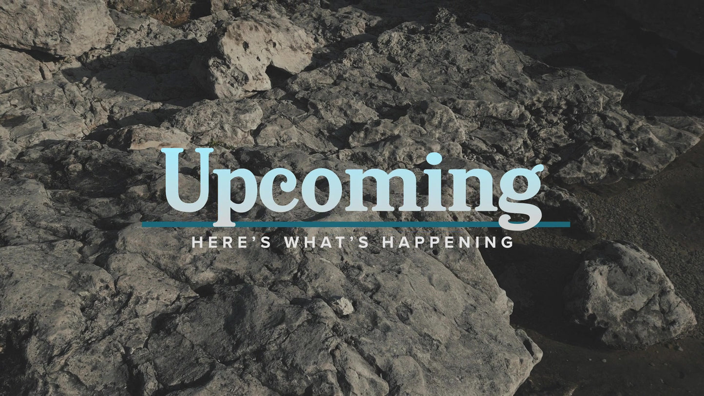 Northern Shores Upcoming Still