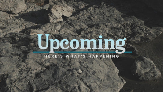 Northern Shores Upcoming