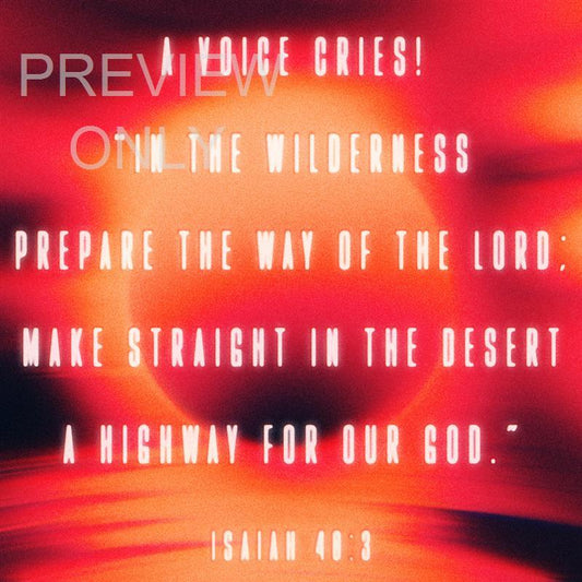 Cirque Still Social 03