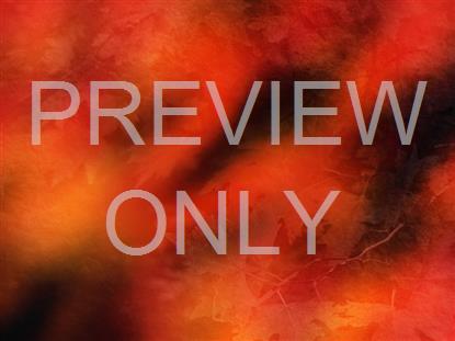 Radiant Harvest Still 6