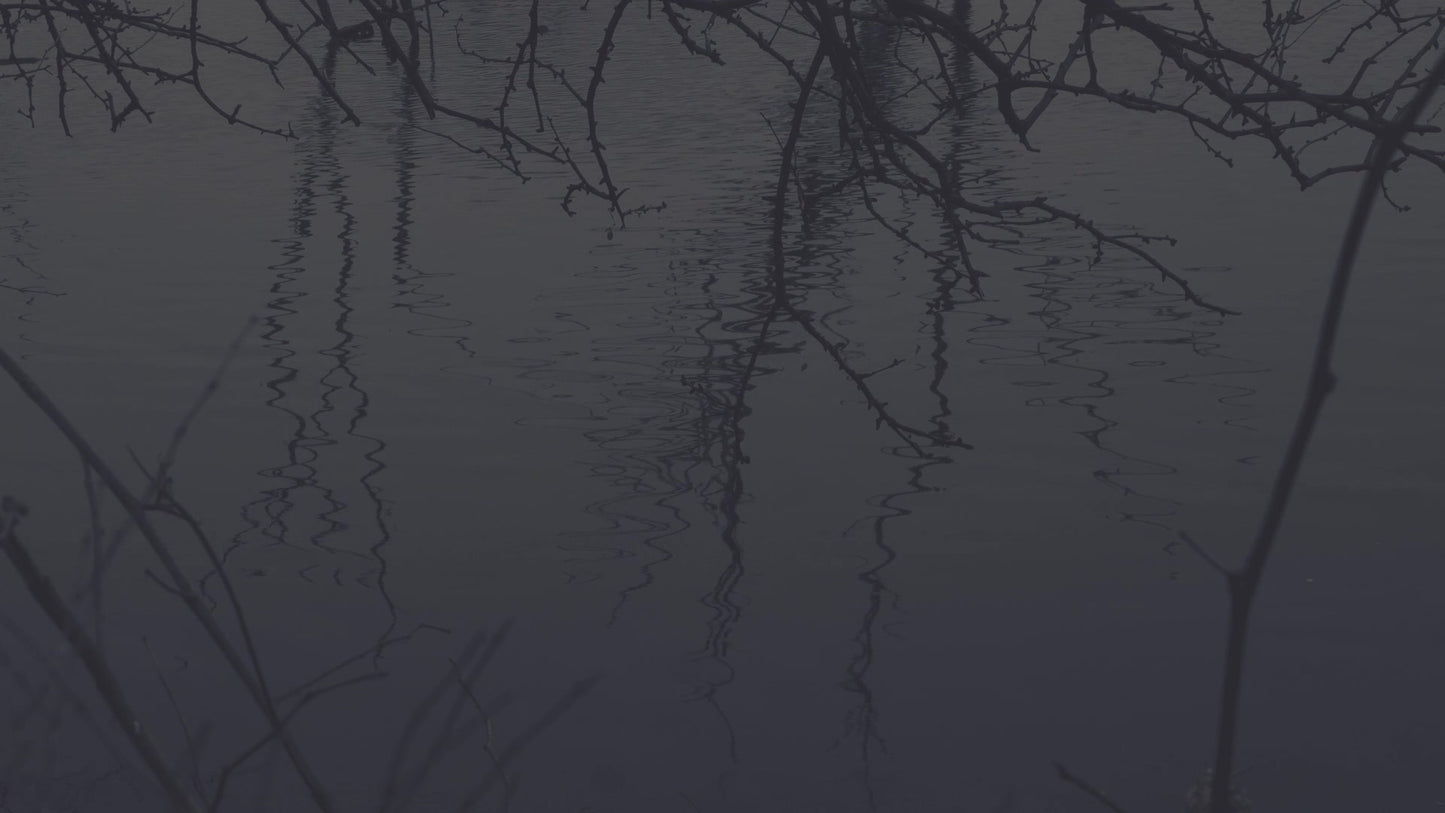Bleak Beauty Ripples Fade Still