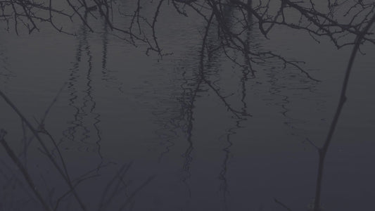 Bleak Beauty Ripples Fade Still