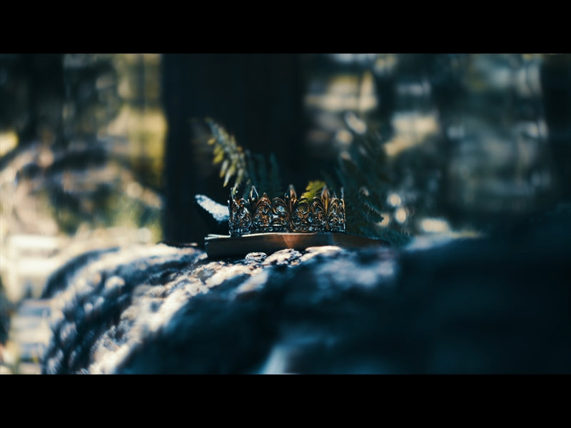 Bible And Crown 1