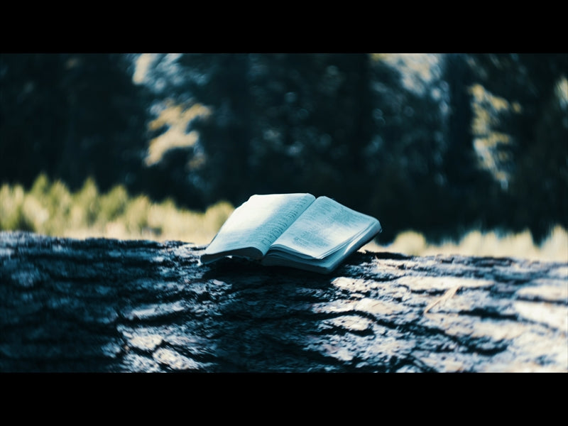 Bible And Crown 2