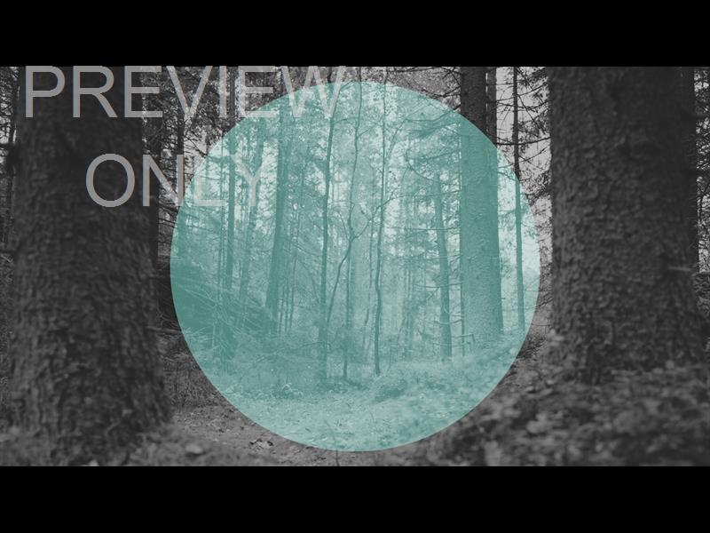 Deep Forest Woodland Floor Teal Circle Still