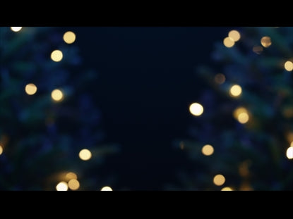 Christmas Pines Blur Trees