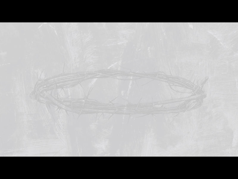 Polaroid Palm Loop 03