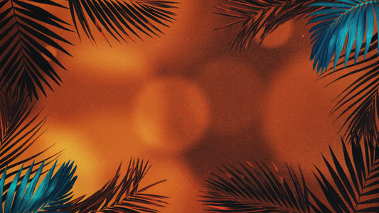 Vibrant Palms 5