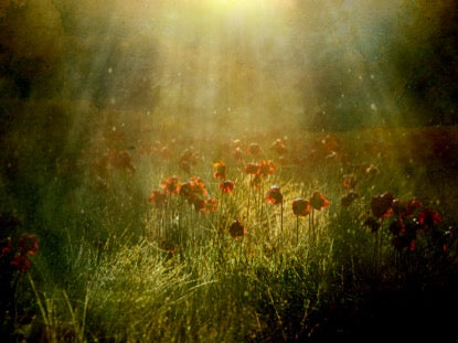 Revealing Nature 2 Motion