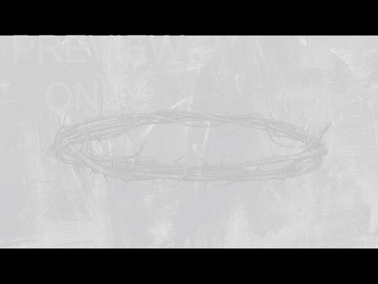 Polaroid Palm Still 03