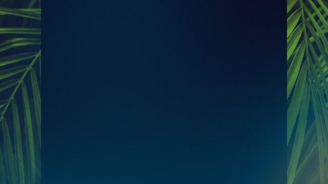 Palm Sunday Streaming 07