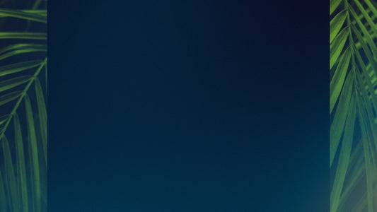 Palm Sunday Streaming 07