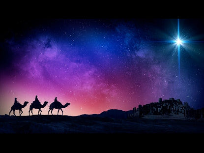 Christmas Night Nativity 3