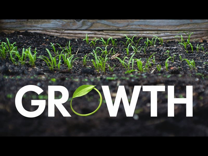 Growth
