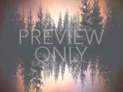 Natures Beauty 5 Still