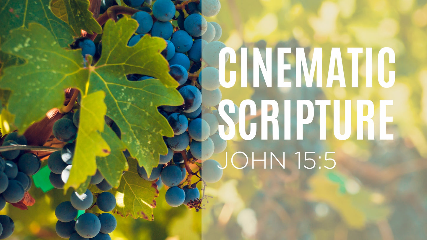 Cinematic Scripture - John 15:5