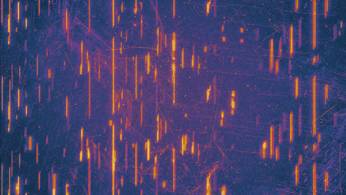 Digital Dust 1