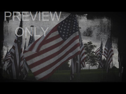 Old Glory Still 08