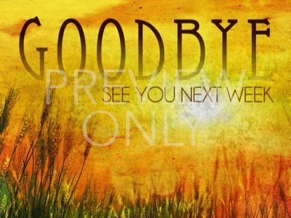 Golden Sun Goodbye Still