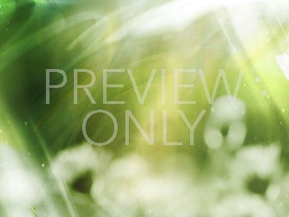 Revealing Nature 1 Still