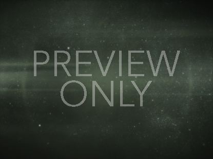 Christmas Forest Green 4 Still