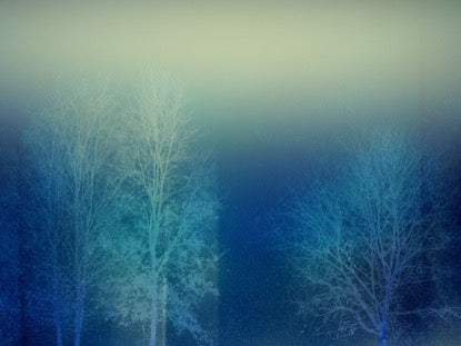 Trees Of Grace 3 Motion